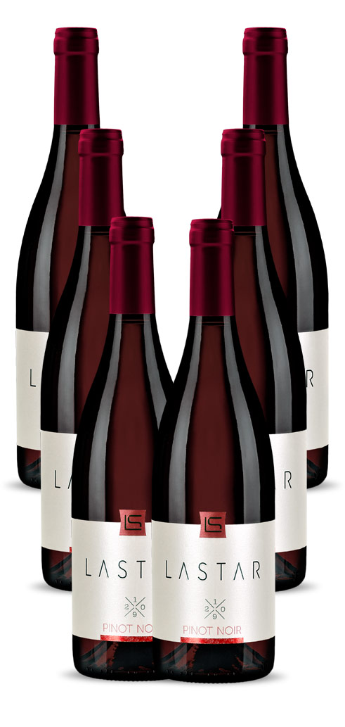 Lastar Pinot Noir paket 6 kom